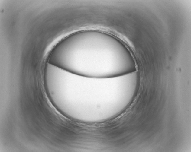 X0000087521504200705111953