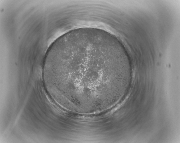 X0000087521505200705111953