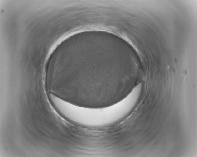 X0000087521508200705111953