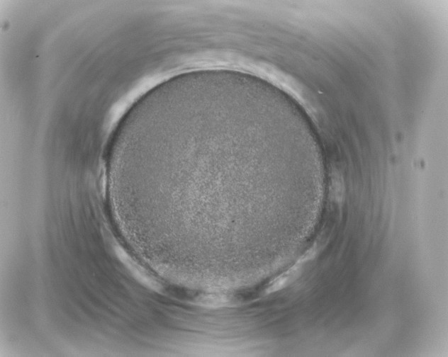 X0000087521509200705111953