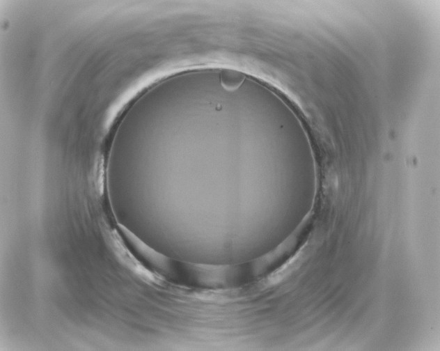 X0000087521510200705111953