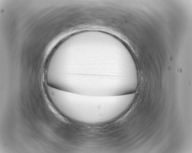 X0000087521511200705111953