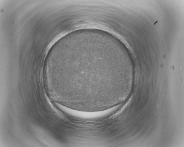 X0000087521513200705111953