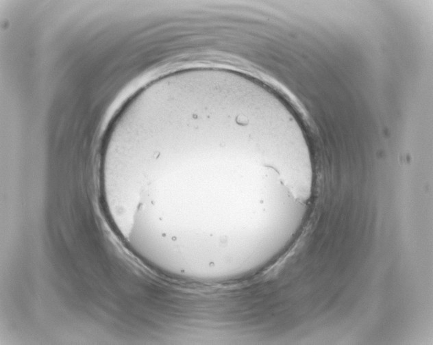 X0000087521514200705111953