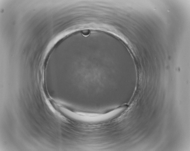 X0000087521515200705111953