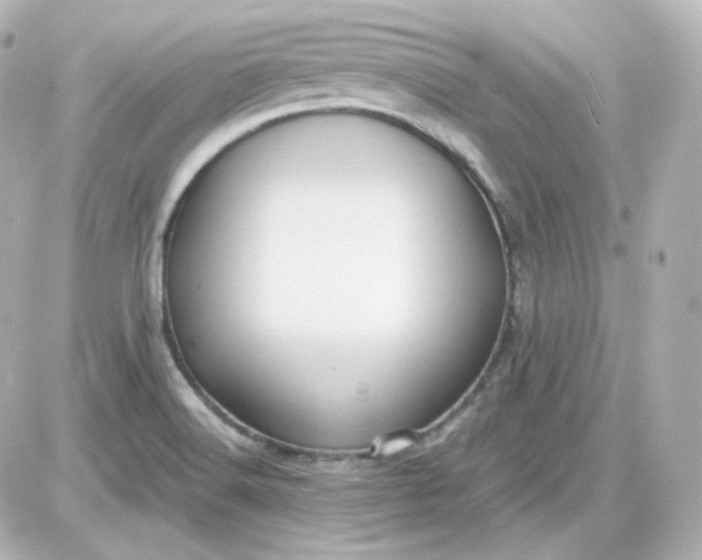 X0000087521516200705111953