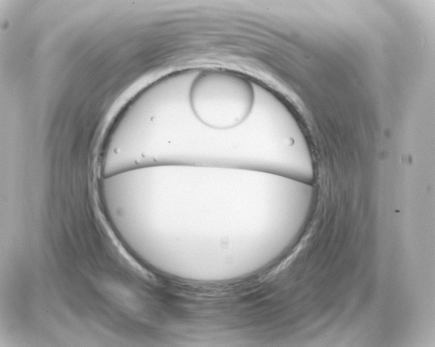 X0000087521517200705111953