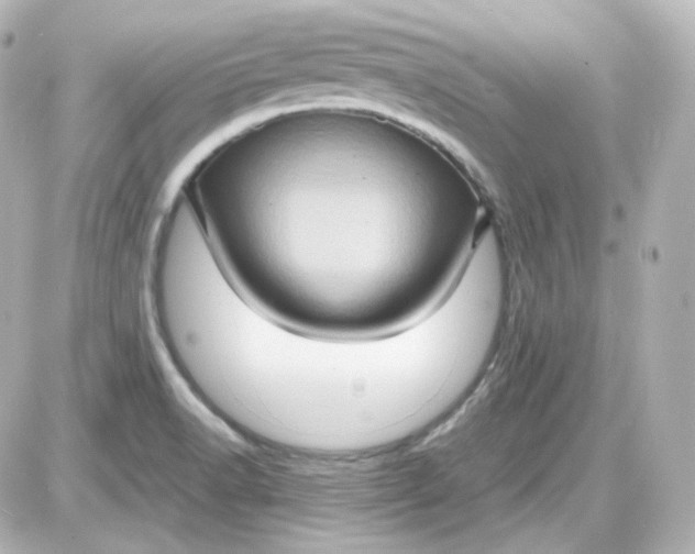 X0000087521518200705111953