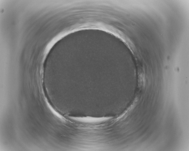 X0000087521519200705111953