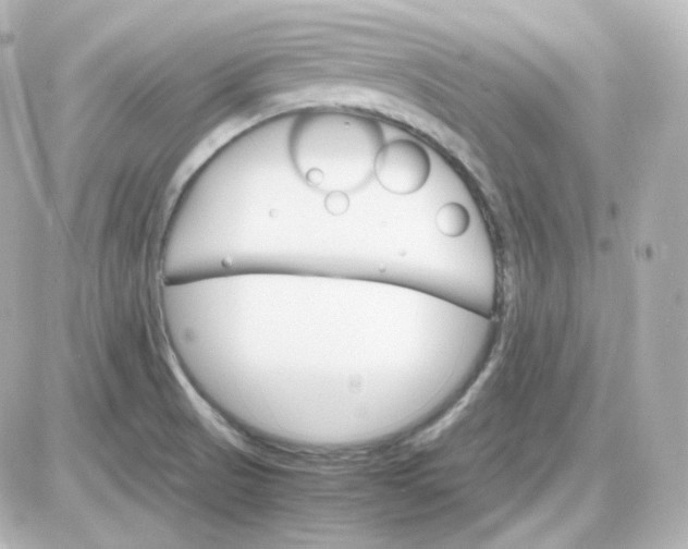 X0000087521521200705111953