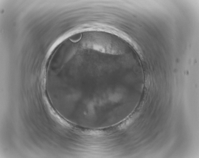 X0000087521522200705111953