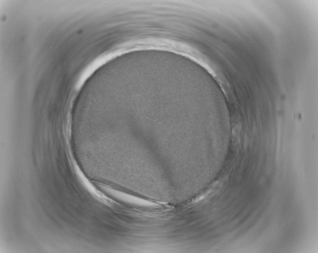 X0000087521523200705111953