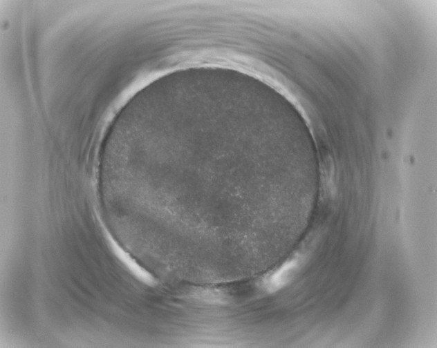 X0000087521525200705111953