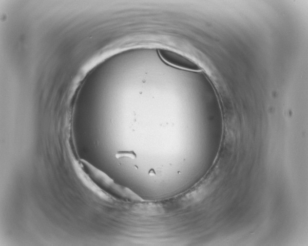 X0000087521526200705111953