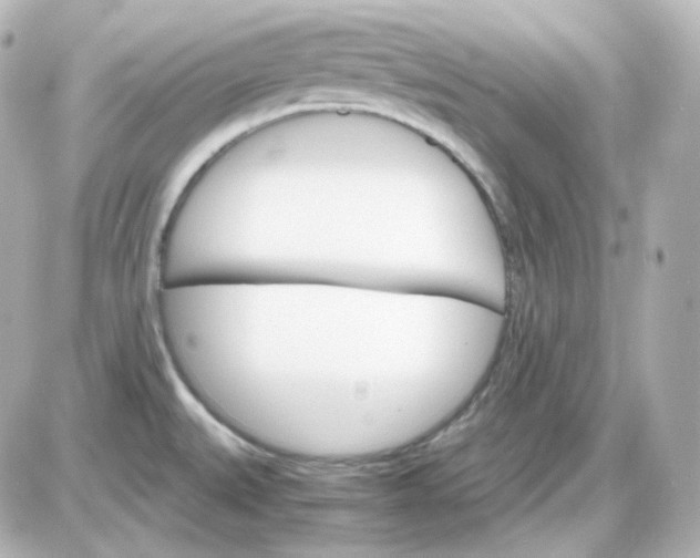 X0000087521527200705111953