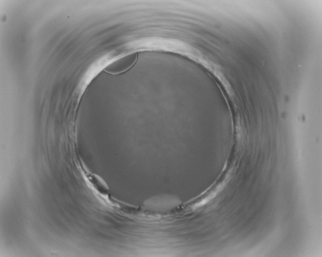 X0000087521529200705111953