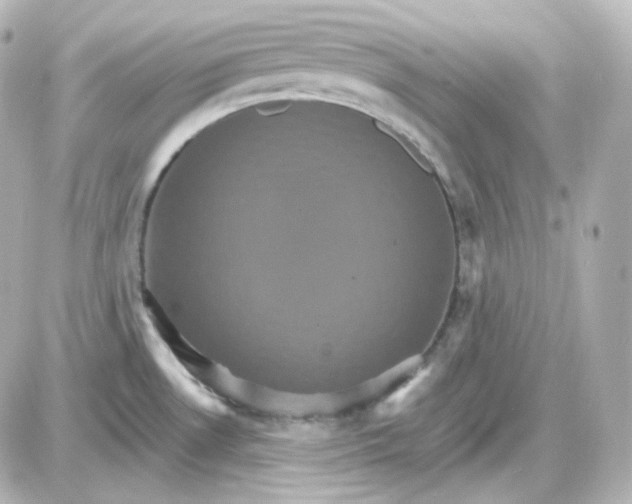 X0000087521530200705111953