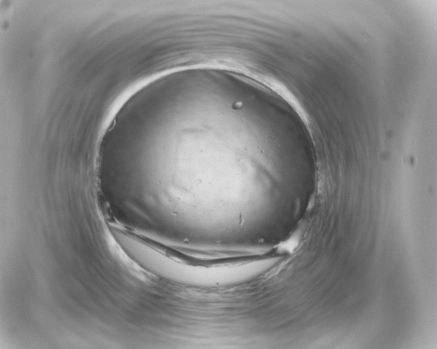 X0000087521532200705111954