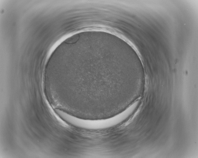 X0000087521533200705111954