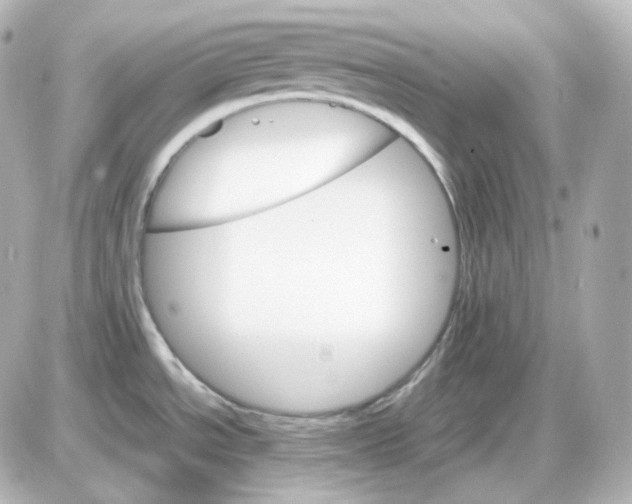 X0000087521534200705111954