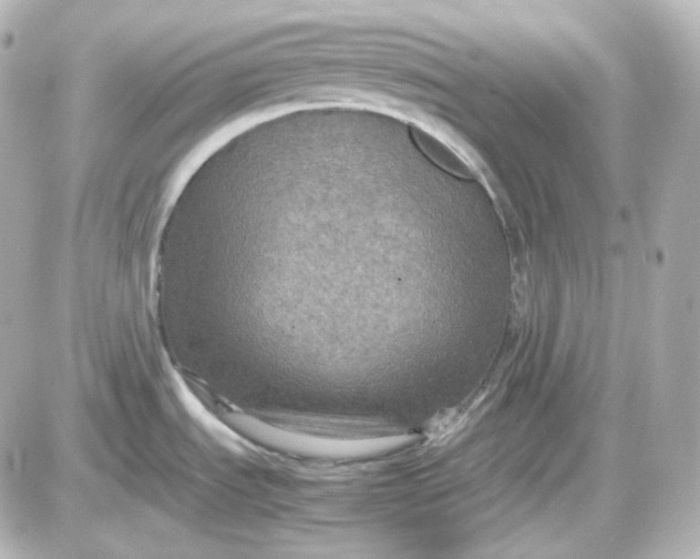 X0000087521535200705111954