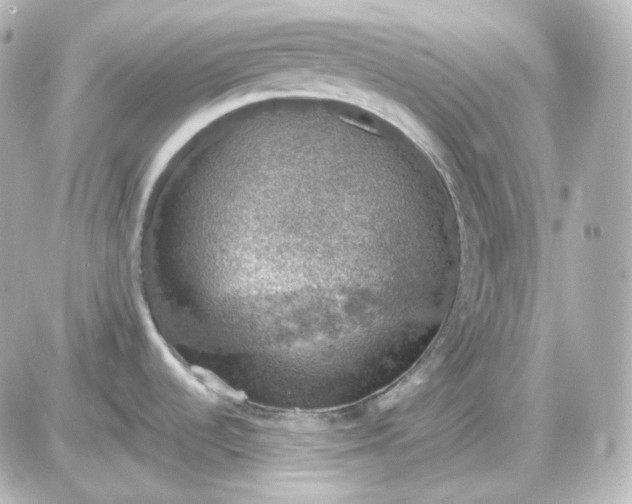 X0000087521536200705111954