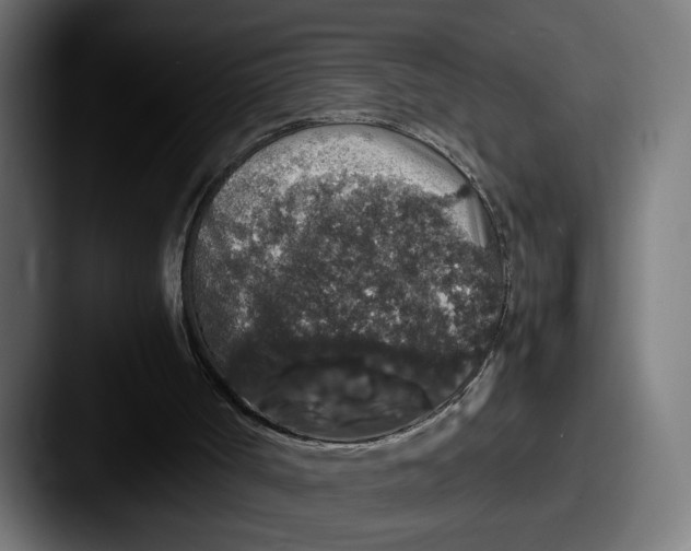 X0000087520002200705181021