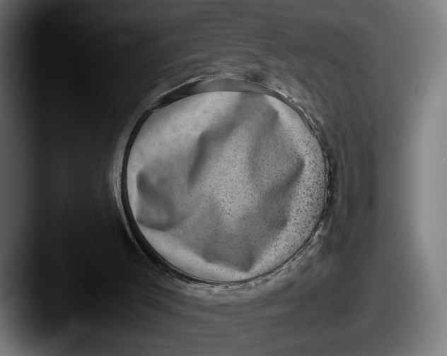 X0000087520003200705181021