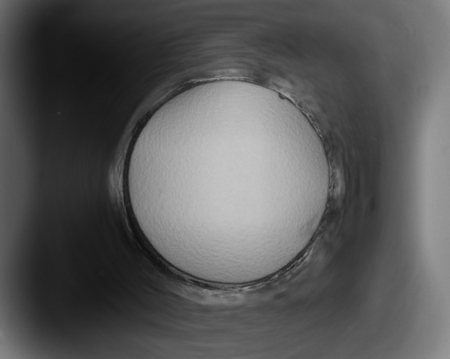 X0000087520004200705181021