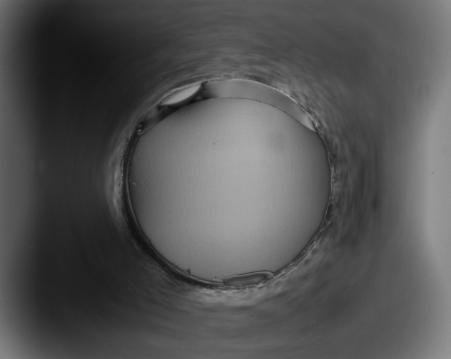 X0000087520005200705181021