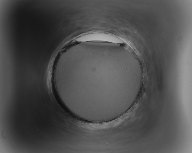 X0000087520007200705181021