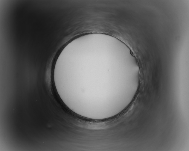 X0000087520008200705181021