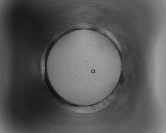 X0000087520011200705181021