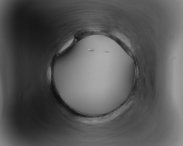 X0000087520013200705181020