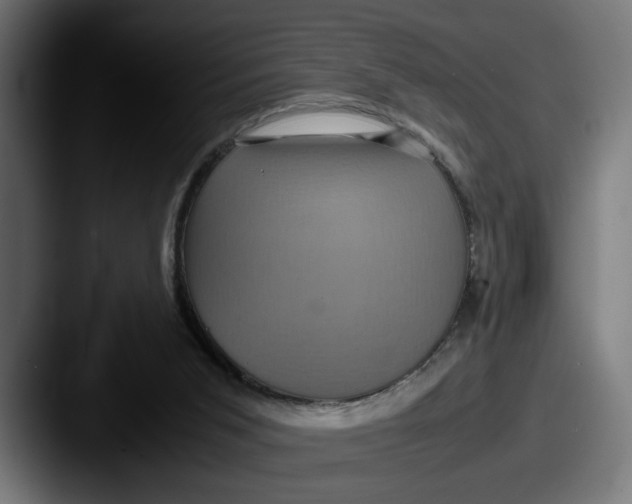 X0000087520015200705181020