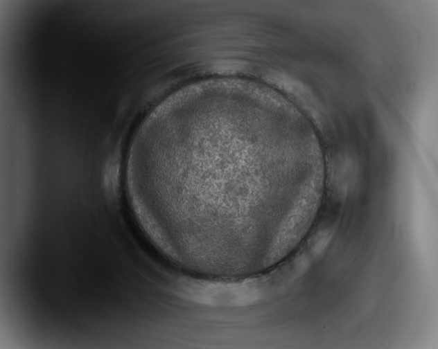 X0000087520016200705181020