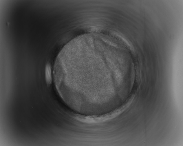 X0000087520022200705181020