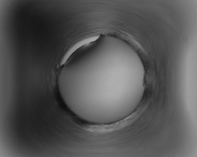 X0000087520025200705181020