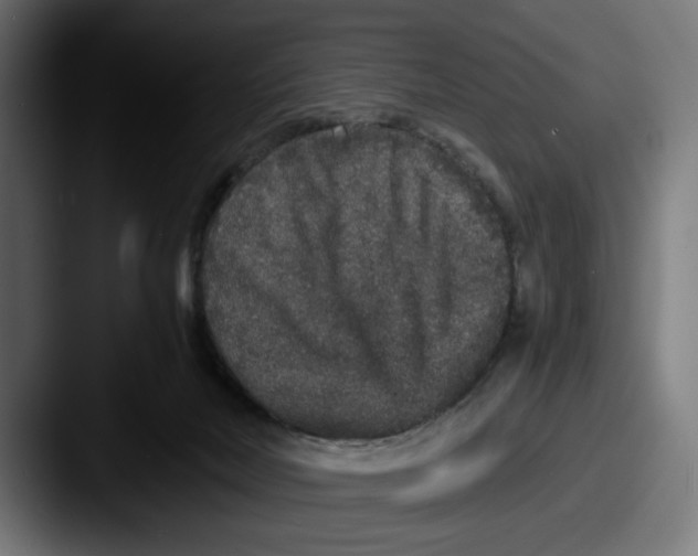 X0000087520026200705181020