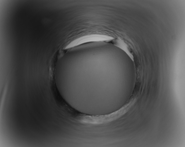 X0000087520033200705181020