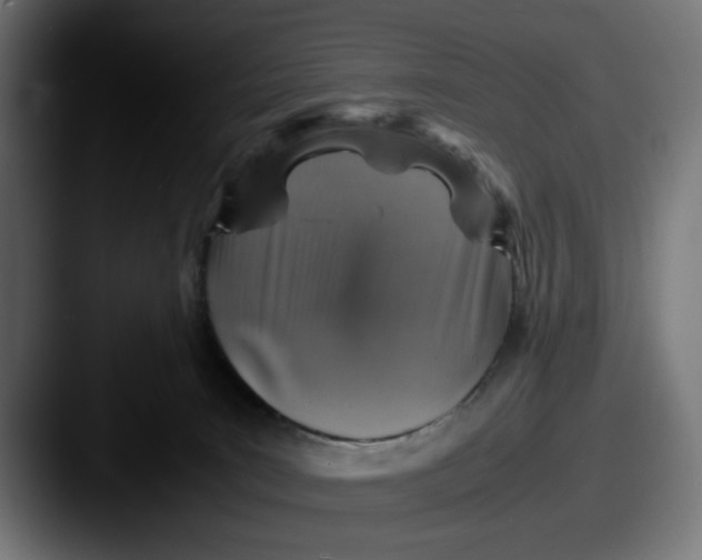 X0000087520035200705181020