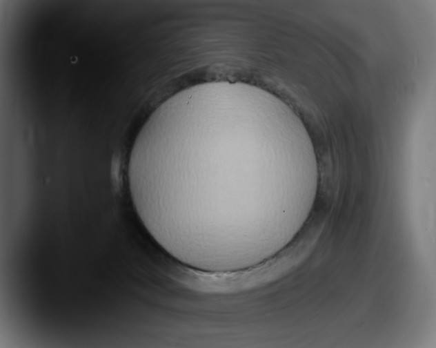 X0000087520038200705181020