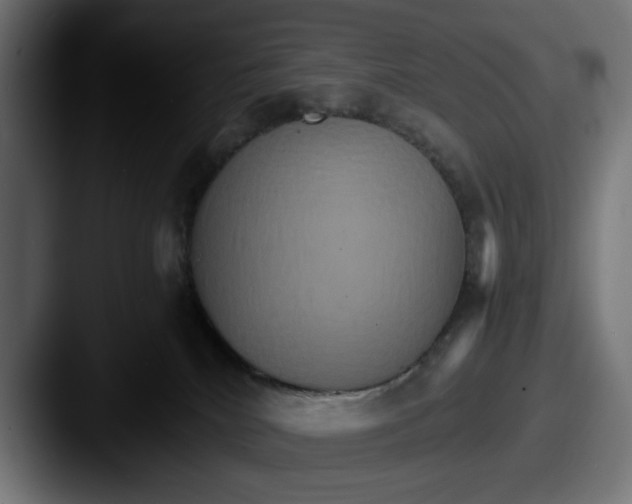 X0000087520040200705181020