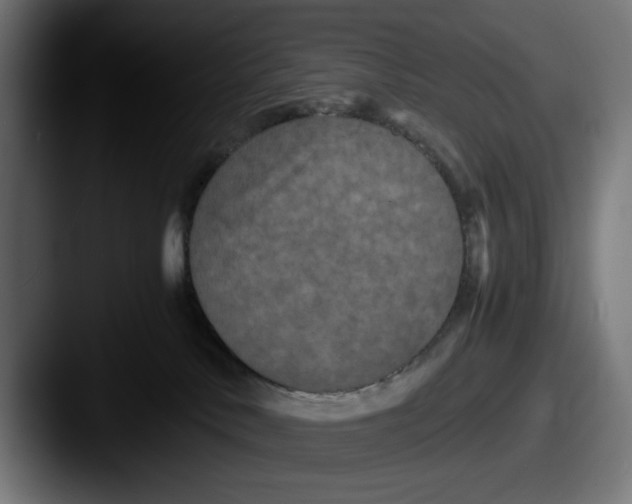 X0000087520042200705181020