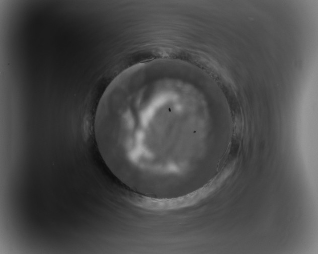 X0000087520043200705181020