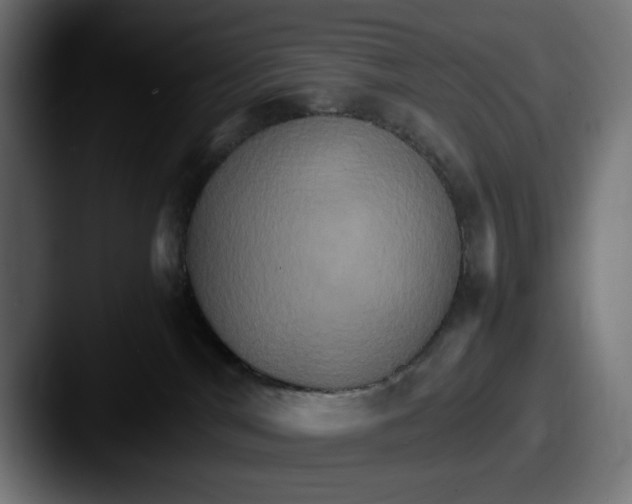 X0000087520044200705181020