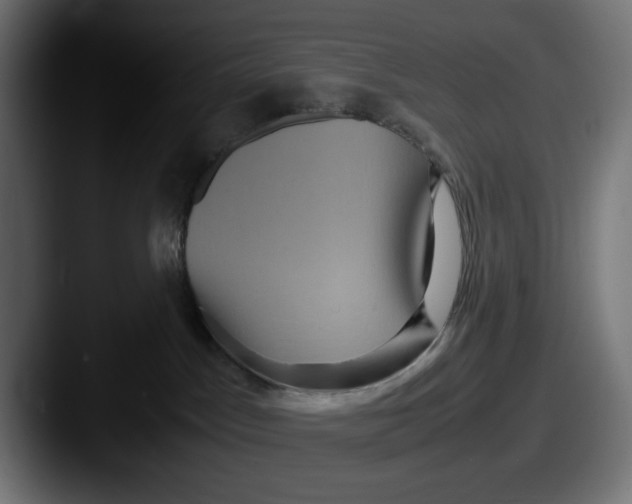 X0000087520045200705181020