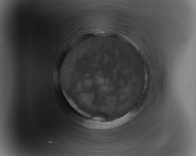 X0000087520048200705181020