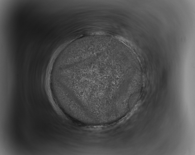 X0000087520049200705181020