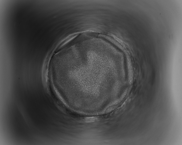 X0000087520050200705181020